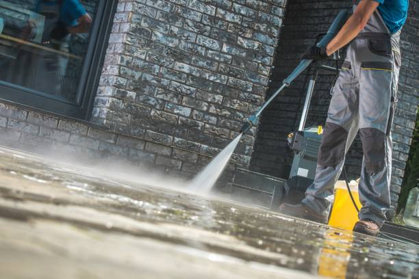 Best Animal Enclosure Cleaning  in North Olmsted, OH